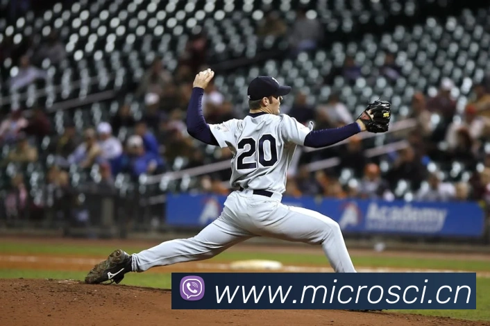 milan登录入口发展历程